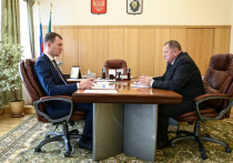 Дегтярев обсудил будущее Николаевского района с главой территории