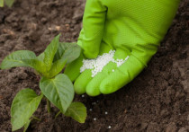 Россельхознадзор начал регистрацию хозсубъектов, занимающихся оборотом пестицидов и агрохимикатов