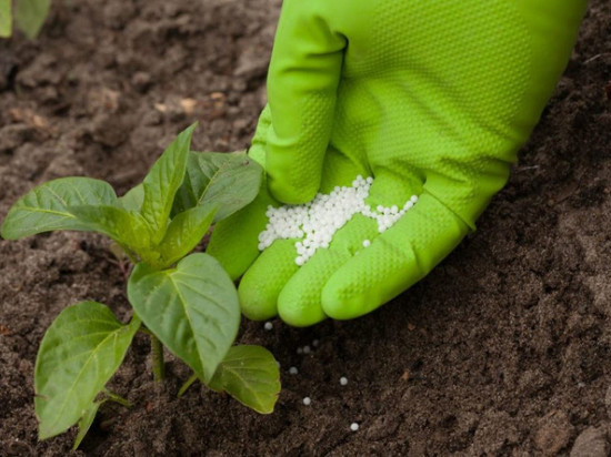 Россельхознадзор начал регистрацию хозсубъектов, занимающихся оборотом пестицидов и агрохимикатов