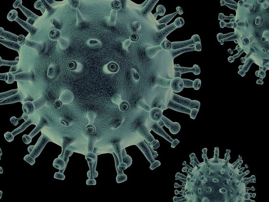 В Пензенской области еще у 205 человек выявили коронавирус за сутки