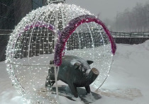 22 января в Рязанской области ожидается снег и до -10 градусов