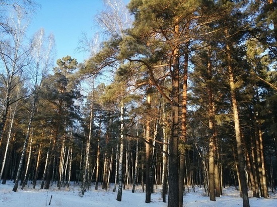 Переменная облачность и -13 градусов мороза – погода в Красноярске 22 января