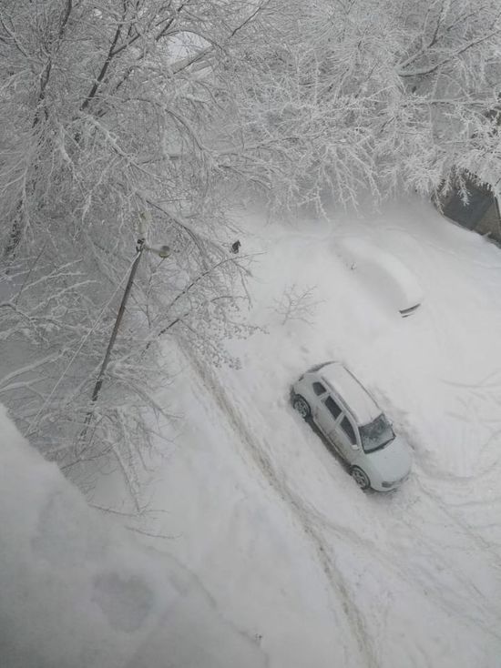 Саратовцев предупреждают о снегопаде, снежных заносах и тумане