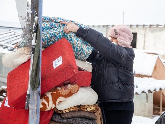 В Астрахани у бездомных собак появились теплые подстилки
