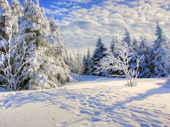 Прогноз погоды в Туле: 22 января ожидается переменная облачность и снегопад