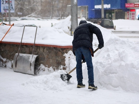 В Новосибирске днем 23 января начнется снегопад