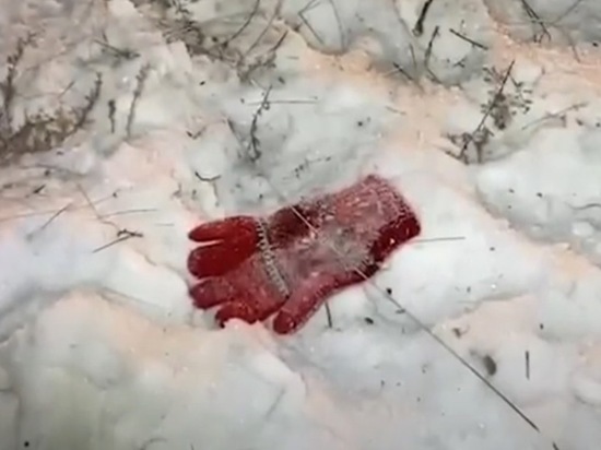 СК Забайкалья опубликовал видео с места гибели девочки в Домне