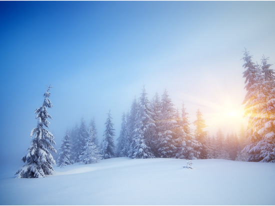 Туман и похолодание до -25 градусов ожидаются в Ленобласти с 23 января