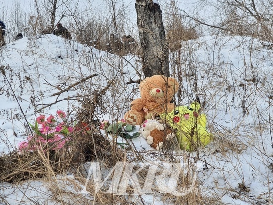 Мемориал из цветов и игрушек возник на месте смерти девочки в Домне