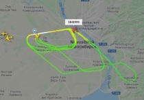 Со данным сервиса Flightradar, самолет Airbus A320, сделал над городом десятки кругов в первой половине дня 23 января