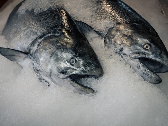 Жителям Хакасии рыбу придется покупать дороже