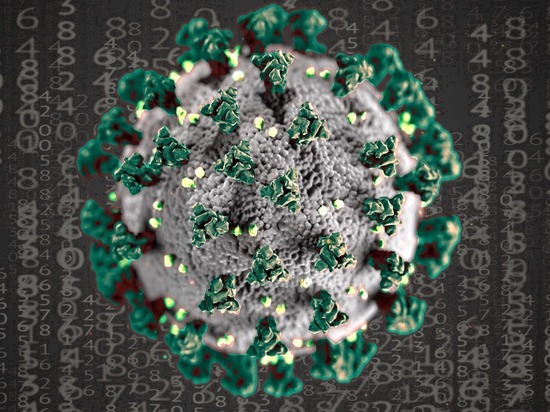 В Карелии по данным на 24 января 371 инфицированный коронавирусом