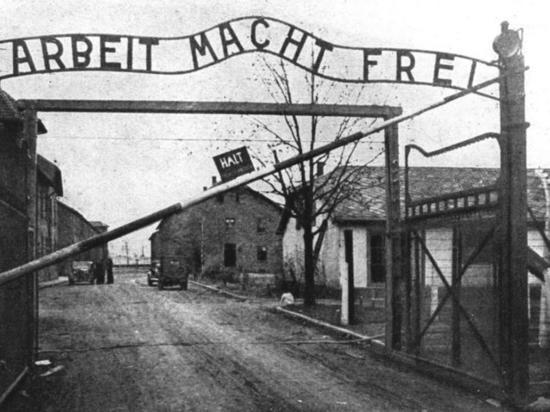 В Польше задержали туристку за нацистское приветствие возле Освенцима