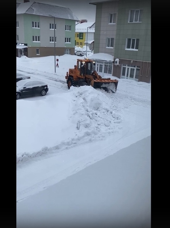 В Губкинском подрядчик сломал саженцы при уборке снега и возмутил ямальцев