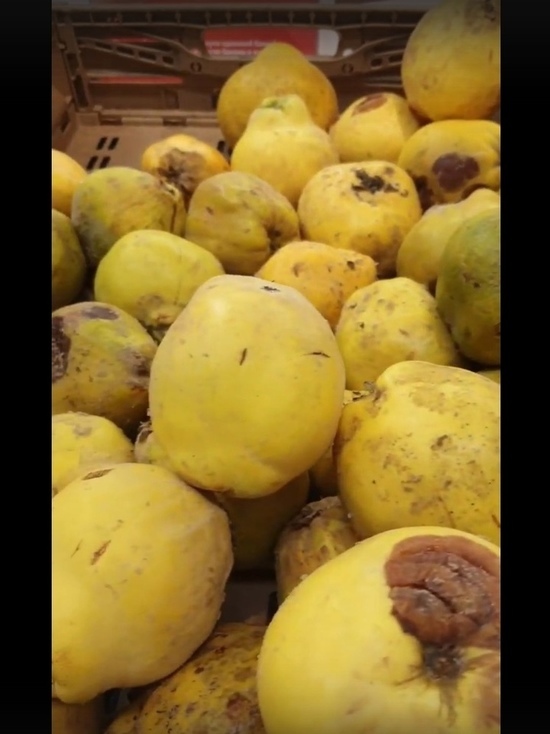 Гнилье продают: массу испорченных продуктов нашли покупатели в «Магните» Нового Уренгоя