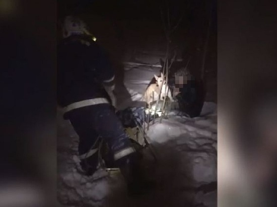 В Новосибирске нетрезвый мужчина чуть не замерз насмерть на прогулке с собакой
