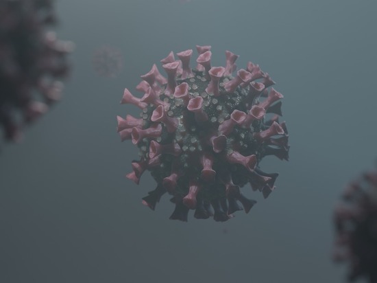Почти 300 человек заразились коронавирусом за сутки в Забайкалье