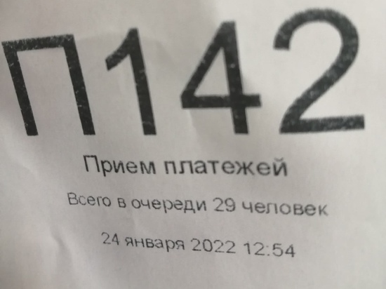 Рязанка пожаловалась на очередь из 30 человек в КВЦ на улице Новосёлов