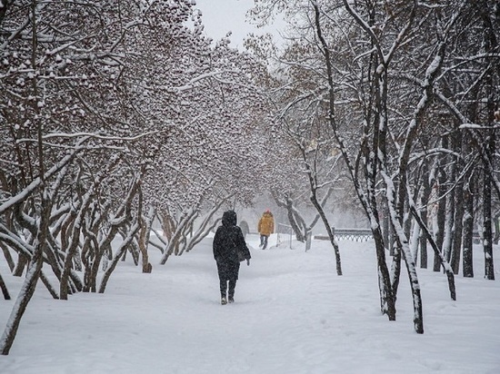 Небольшой снег и -12 градусов мороза – погода в Красноярске 25 января