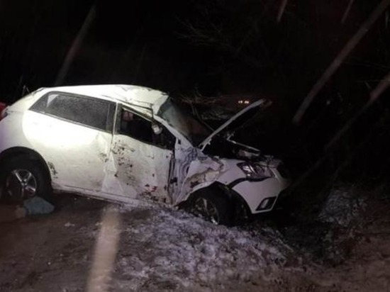 В Павловском районе водитель иномарки влетел в дерево и погиб