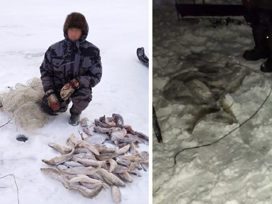 Троих браконьеров задержали за вылов рыб в Новосибирском водохранилище