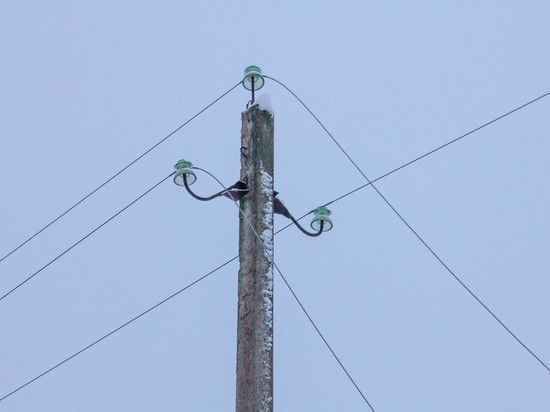25-26 января в Псковском районе ожидаются отключения электроэнергии