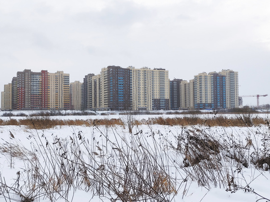 Минувший год, мягко говоря, озадачил потенциальных покупателей новых квартир в Москве: на фоне рекордно низких ипотечных ставок и ажиотажного спроса самый ходовой товар — новостройки массового сегмента — подорожал на 30%