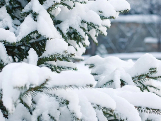 Классическая зимняя погода ожидается в Смоленской области 25 января