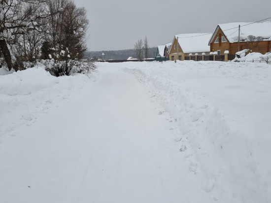  Деревню во Владимирской глубинке завалило снегом