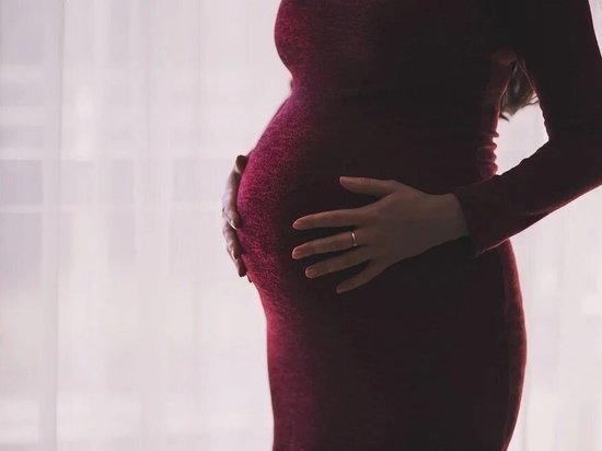 С начала 2022 года туляки будут получать увеличенные пособия для одиноких родителей и беременных