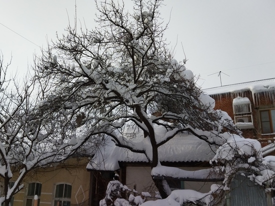 В День студенчества в Саратовской области снег будет идти весь день