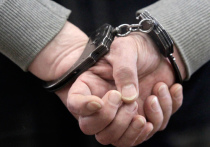 МВД сообщает о задержании одного из напавших на вдову Александра Градского