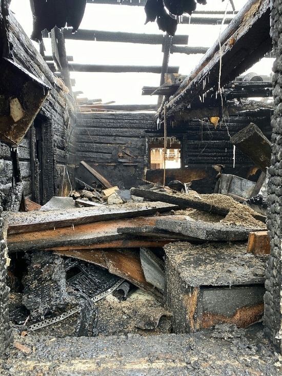 Из-за пожара в великолукском домашнем приюте сгорели 50 кошек