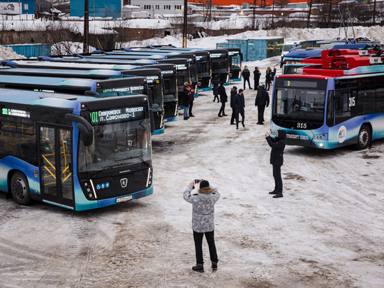 В Мурманской области на обновление автопарка общественного транспорта потратили 200 млн рублей