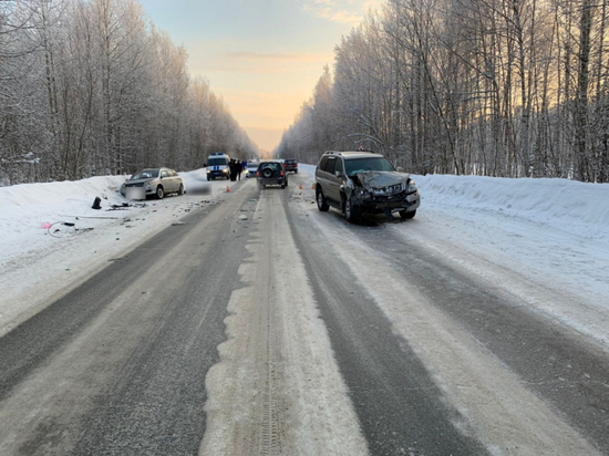 На трассе Томск - Нижневартовск в ДТП погибла пассажир автомобиля Geely