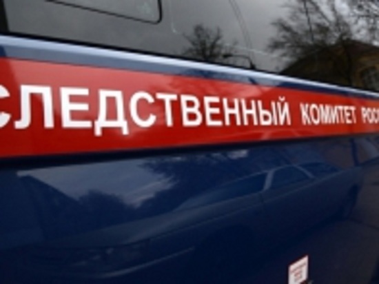 На Алтае мать выставленного на мороз ребенка искусала полицейского