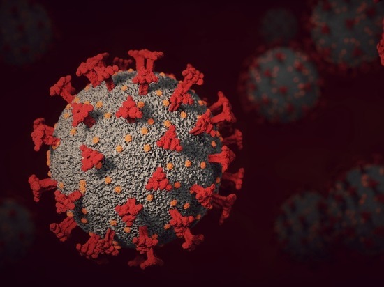 401 человек заразился коронавирусом в Тульской области за сутки