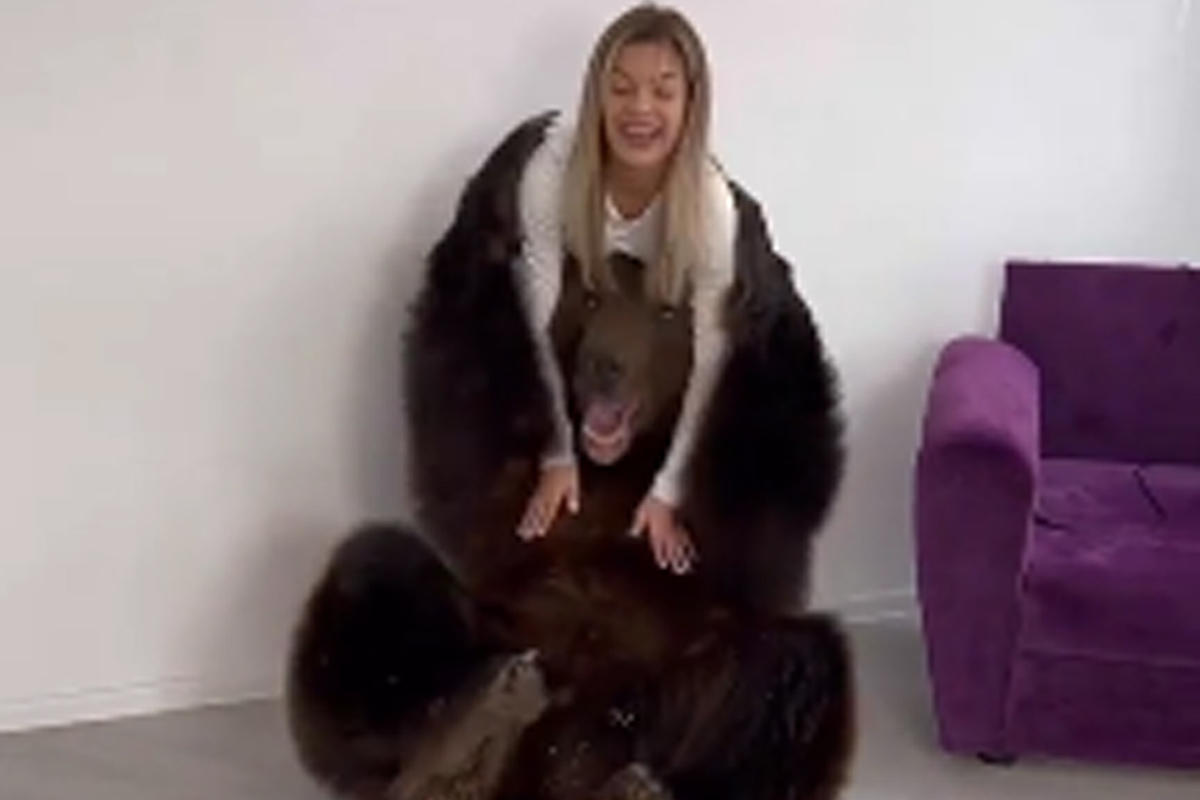 Видео собака привела медведей. Блогерша с медведем. Привела домой медведя.