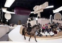 На показе модного дома Chanel в Париже впервые в истории привели лошадь