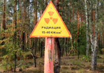 Западная пресса написала о переброске украинских войсковых подразделений в зону Чернобыля