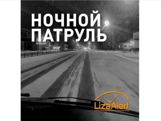 «ЛизаАлерт» вновь выводит ночной патруль на улицы Йошкар-Олы