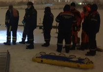 В деревне Выра под Гатчиной (Ленинградская область) продолжаются поиски тела 41-летней Анны, которая в Крещение нырнула в прорубь на реке Оредеж и не выплыла