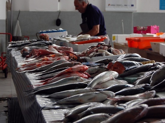 Предприниматели из Луганска оштрафованы за торговлю рыбой