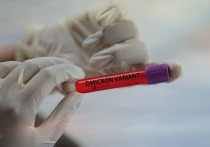 Директор НИЦ эпидемиологии и микробиологии имени Гамалеи Александр Гинцбург сообщил во вторник, что иммунитет, полученный после перенесенного заражения штаммом коронавируса "Омикрон" не защищает от штамма "Дельта"