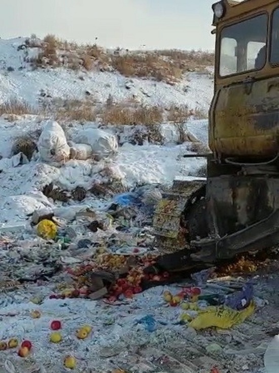 В Улан-Удэ уничтожили 130 кг импортных яблок