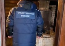 Жительница города Холм Новгородской области, задержанная вместе с сожителем по подозрению в убийстве дочери, дала показания по уликам, найденным в доме