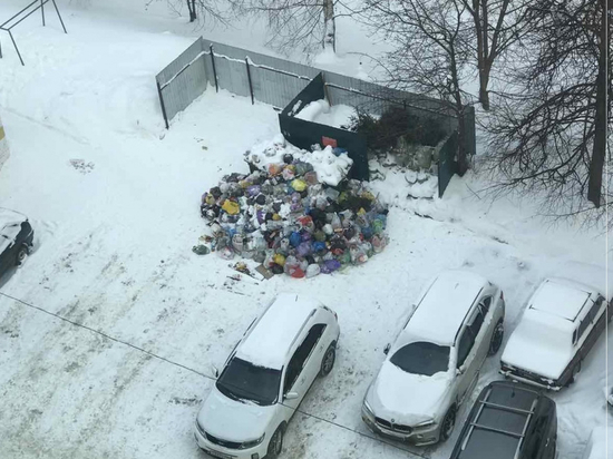 Во Владимире нарушен график уборки мусора