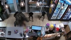 Нападение на магазин в Башкортостане попало на видео