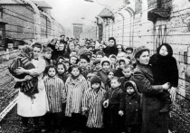 Международный день памяти жертв холокоста — 27 января — отмечается в мире с 2006 года