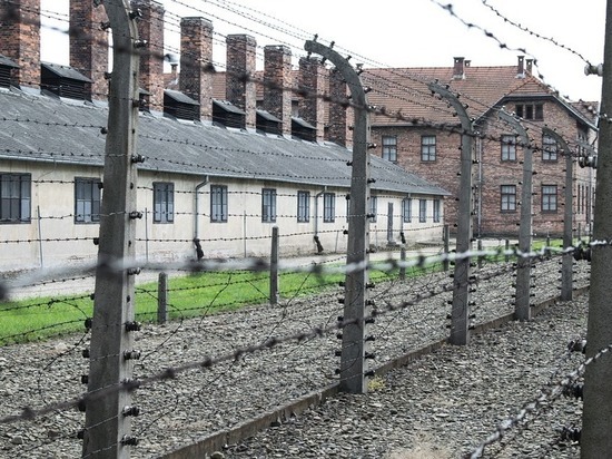 Международный день памяти жертв Холокоста отмечают в мире 27 января